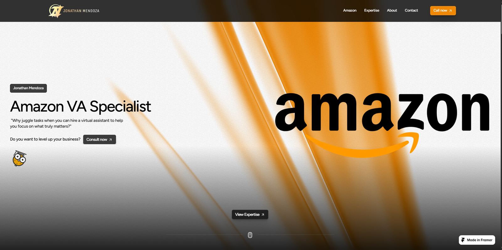 Amazon VA Specialist portfolio
